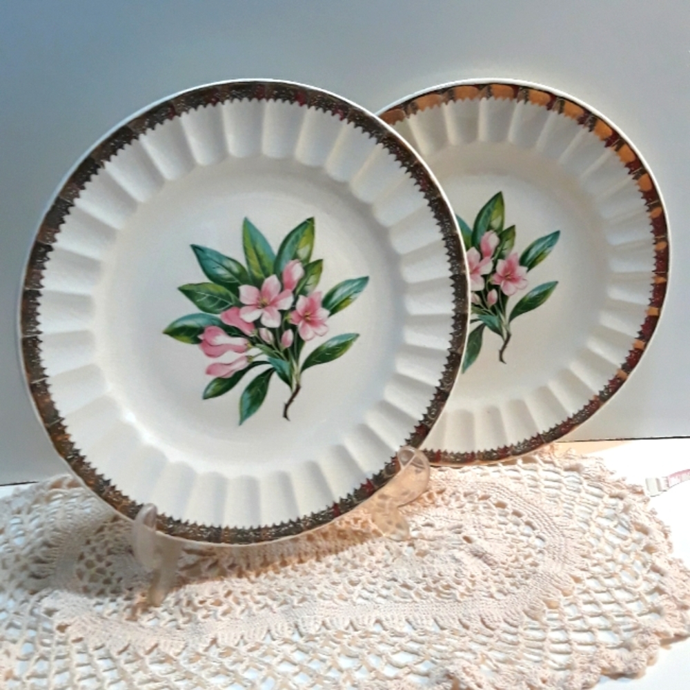 Vintage Cronin Casuals  10" Plates